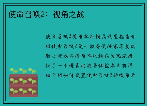 使命召唤2：视角之战